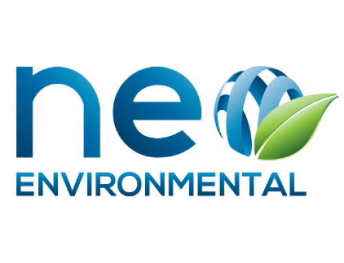 NEO Environmental: “Our turnover increased threefold after mentoring”
